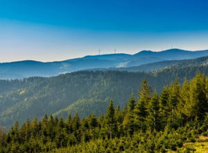 Stockfotos Schwarzwald