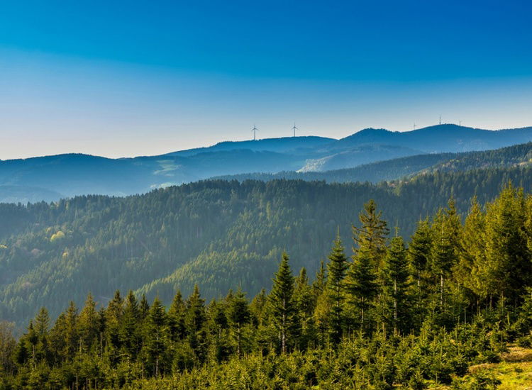 Erleben Sie unvergessliche Tage zwischen Schwarzwald und Straßburg!