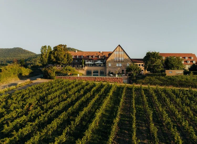 Wellness, Wein & mehr - Auszeit an der Südlichen Weinstraße