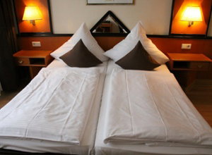 Waldhotel Berghof Luisenthal