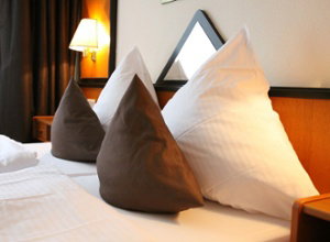 Waldhotel Berghof Luisenthal