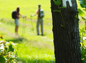 Waldhotel Berghof Luisenthal