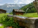 Rundreise Suedtirol, Toskana u Gardasee