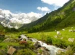 Rundreise Suedtirol, Toskana u Gardasee