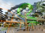 EuroParcs De Utechtse Heuvelrugbb