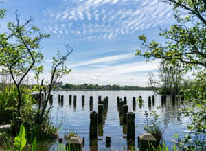 EuroParcs Het Amsterdamse Bos new