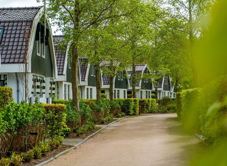 Dünenabenteuer und Entspannung in Nordholland