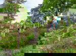EuroParcs Maasduinen