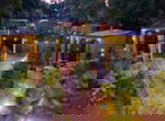EuroParcs Maasduinen