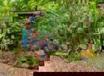 EuroParcs Maasduinen