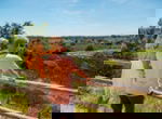 EuroParcs Marina Strandbad new