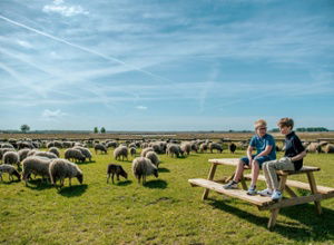 EuroParc Ruinen new