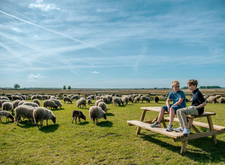 EuroParc Ruinen new
