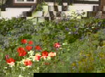 Hotel Kronenhof