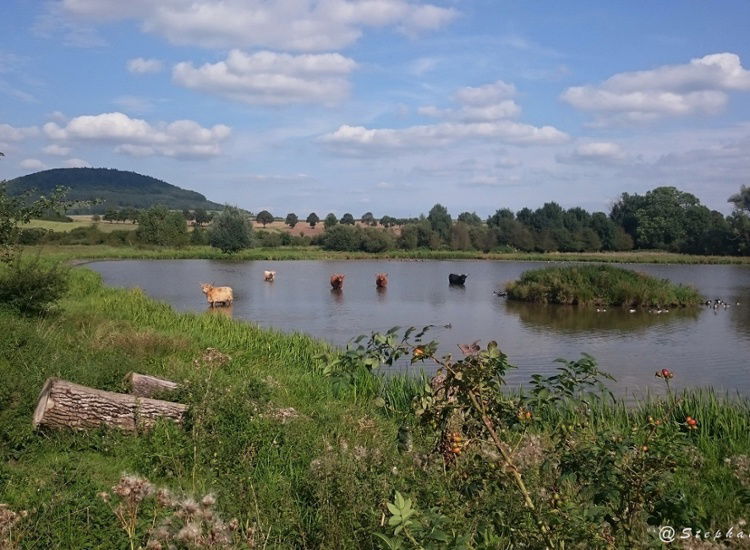 Märchenhaft direkt am Weser-Ufer inklusive sagenhafter MeineCard+