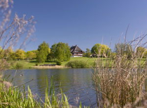 Hotel Strandgruen Strandgruen See Hotel Strandgruen Strandgruen See