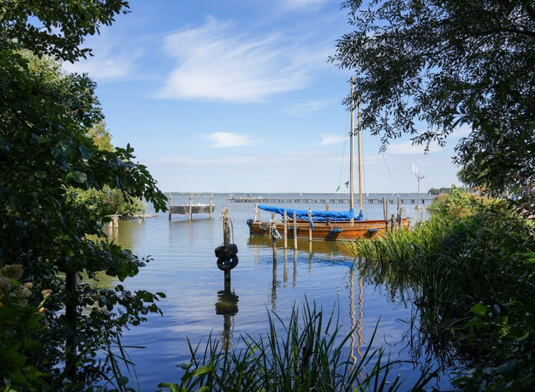 Naturidylle am Steinhuder Meer - Ihr Kurzurlaub mit Stil