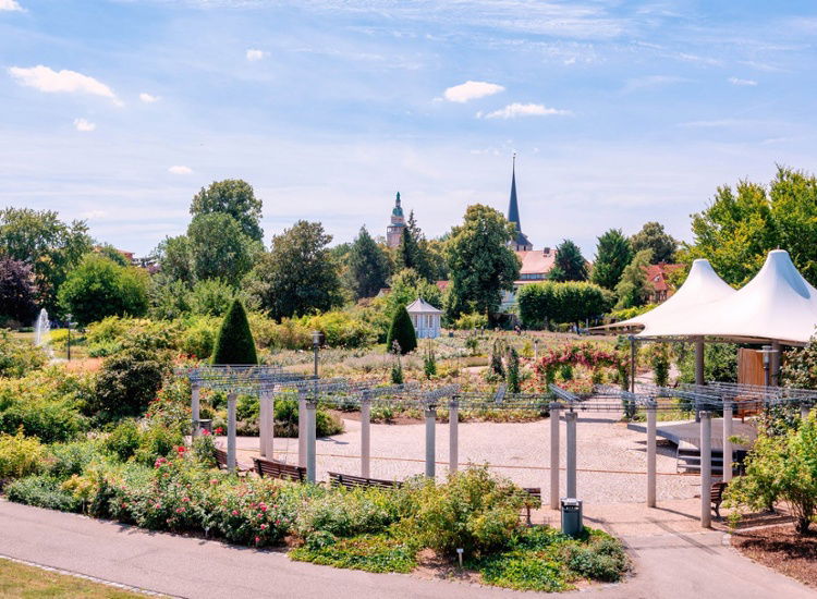 ALPHA HOTEL Hermann von Salza