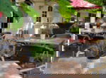 Landhotel Grashof