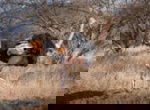 Severin Travel Safari Camp