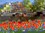 Amedia Amsterdam Airport Schiphol Trademark Collection by Wyndham