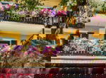 Sporthotel Radstadt