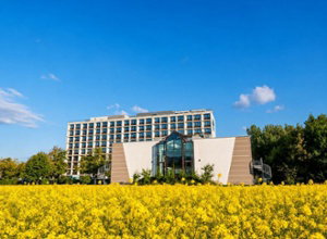 Sunday Hotel Main Taunus Zentrum Frankfurt
