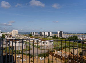 SlowDown Bottsand SlowDown Bottsand