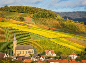 Best Western Plus Palatin Best Western Plus Palatin