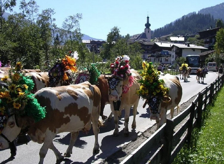 Schatzberg Haus Auffach