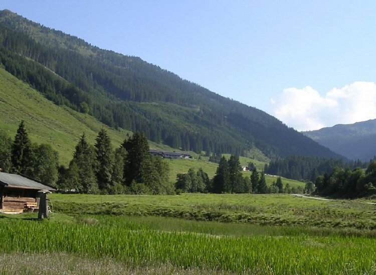 Schatzberg Haus Auffach