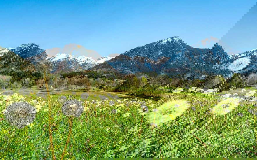 Zwischen Gipfeln und Gedanken - Ihre Auszeit über Sonthofen