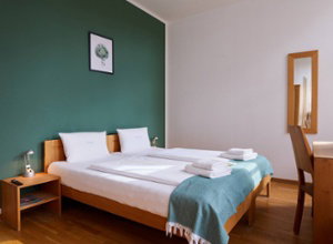 Ahead Burghotel