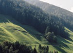 Alpin Royal