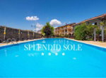 Splendid Sole ATF