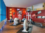 WIS01 gym1.high res