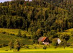 Schlossmuehle Glottertal