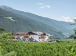 hotel jonathan