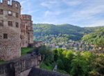 Hotel Hollaender Hof