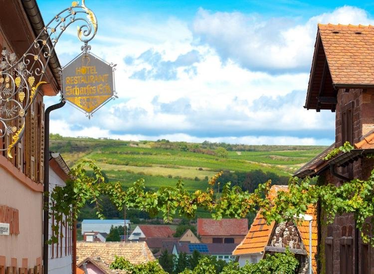 Culinair genieten in de Pfalz - ontspanning & wellness langs de wijnroute
