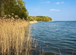 Mecklenburgische Seenplatte