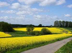 Ringhotel Guestrow Landschaft