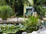 Best Western Macrander Hotel Frankfurt Garten mit Teich