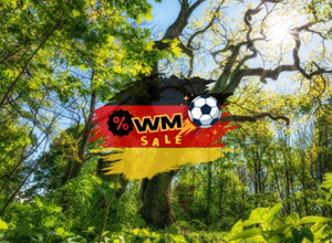 ACHAT Hotel Suhl WM 2026 Kachel Neu