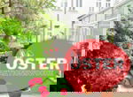 Teaser 1125x825 Hotel Alexandra Ostern 23 Kopie