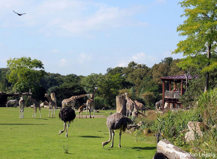 Entdecken Sie Leipzig im 4* Hotel inkl. Leipziger Zoo   