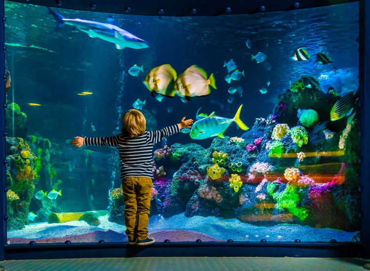 Familienurlaub inklusive SEA LIFE Ticket im 4* Superior Hotel