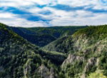 Stockfotos Harz