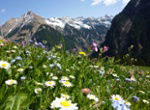 Rundreise Trentino, Toskana, Adriakueste u Gardasee