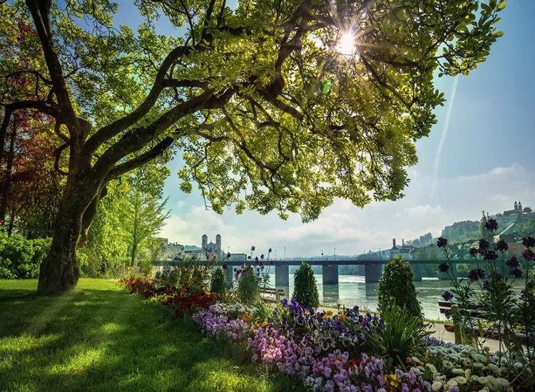 SPECIAL: Kultur pur: Vom Premier Inn aus Passaus Altstadt und Donau erkunden